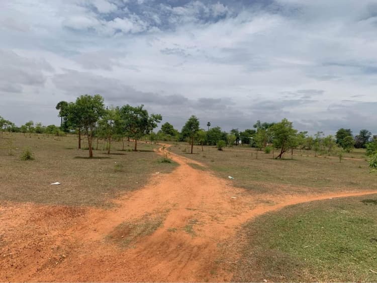 Land for sale 