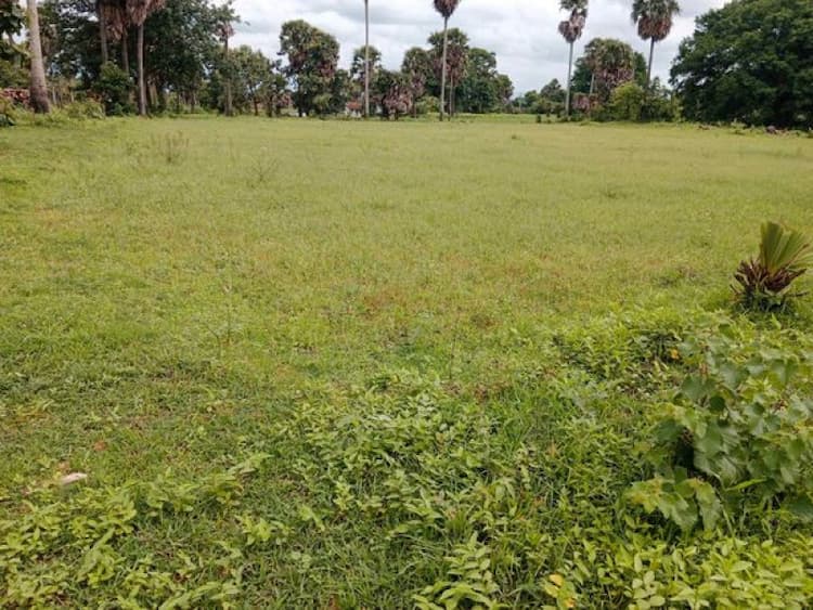 Single Property Image