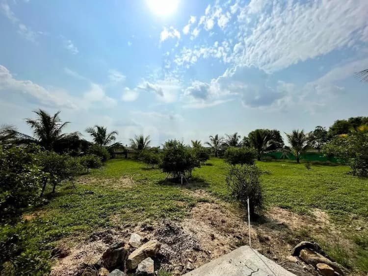 Land for sale