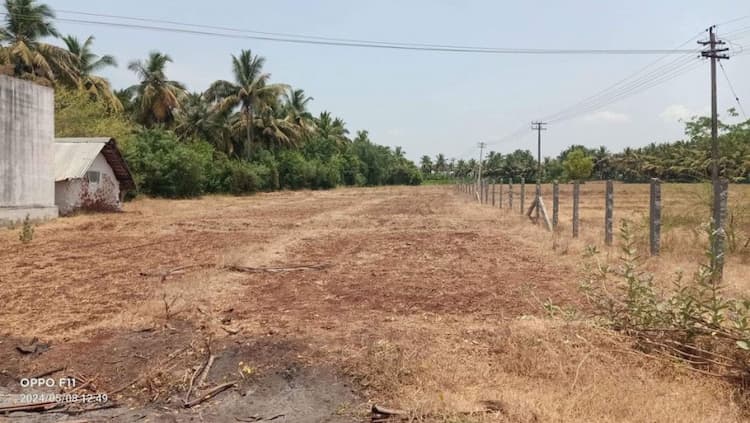 Land for sales