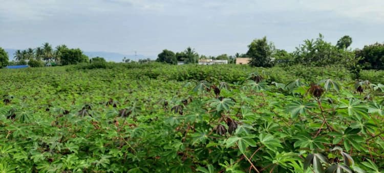 6.40 Acre Land for Sale