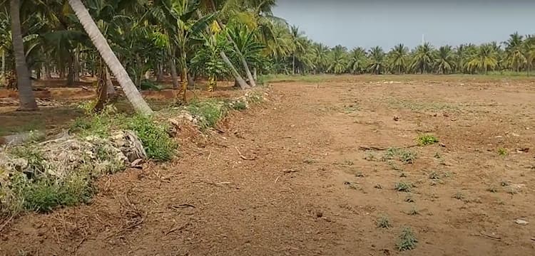 2.10 Acre Farm Land For Sale in Periyapatti