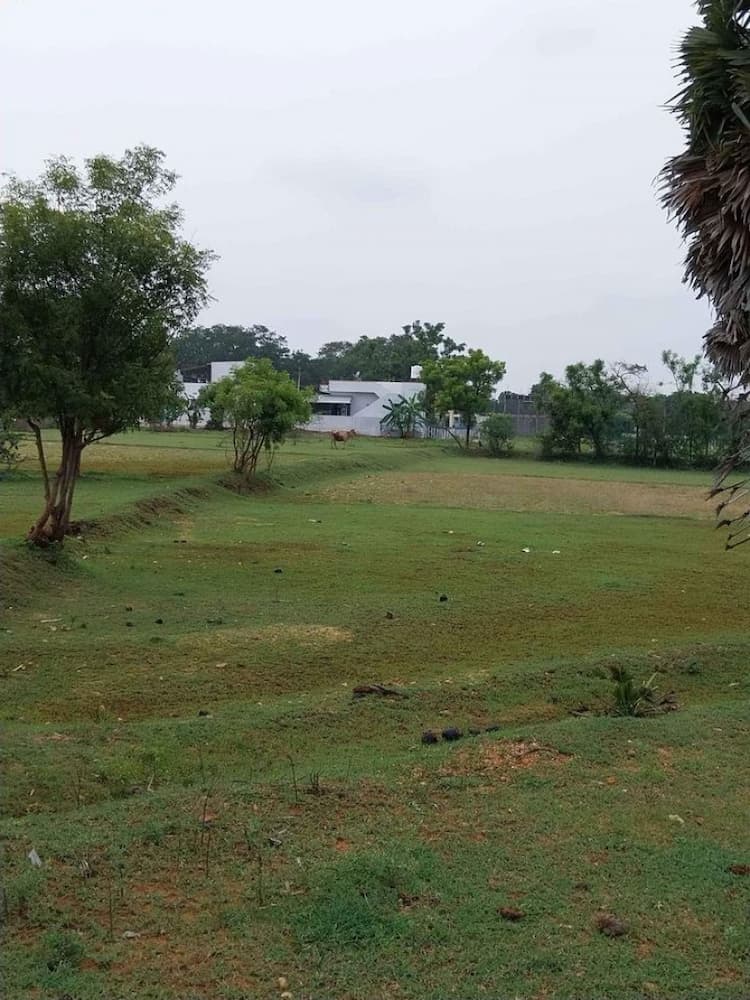 Single Property Image