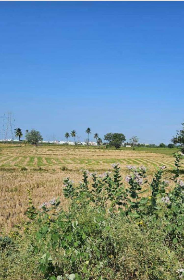 Land for sales
