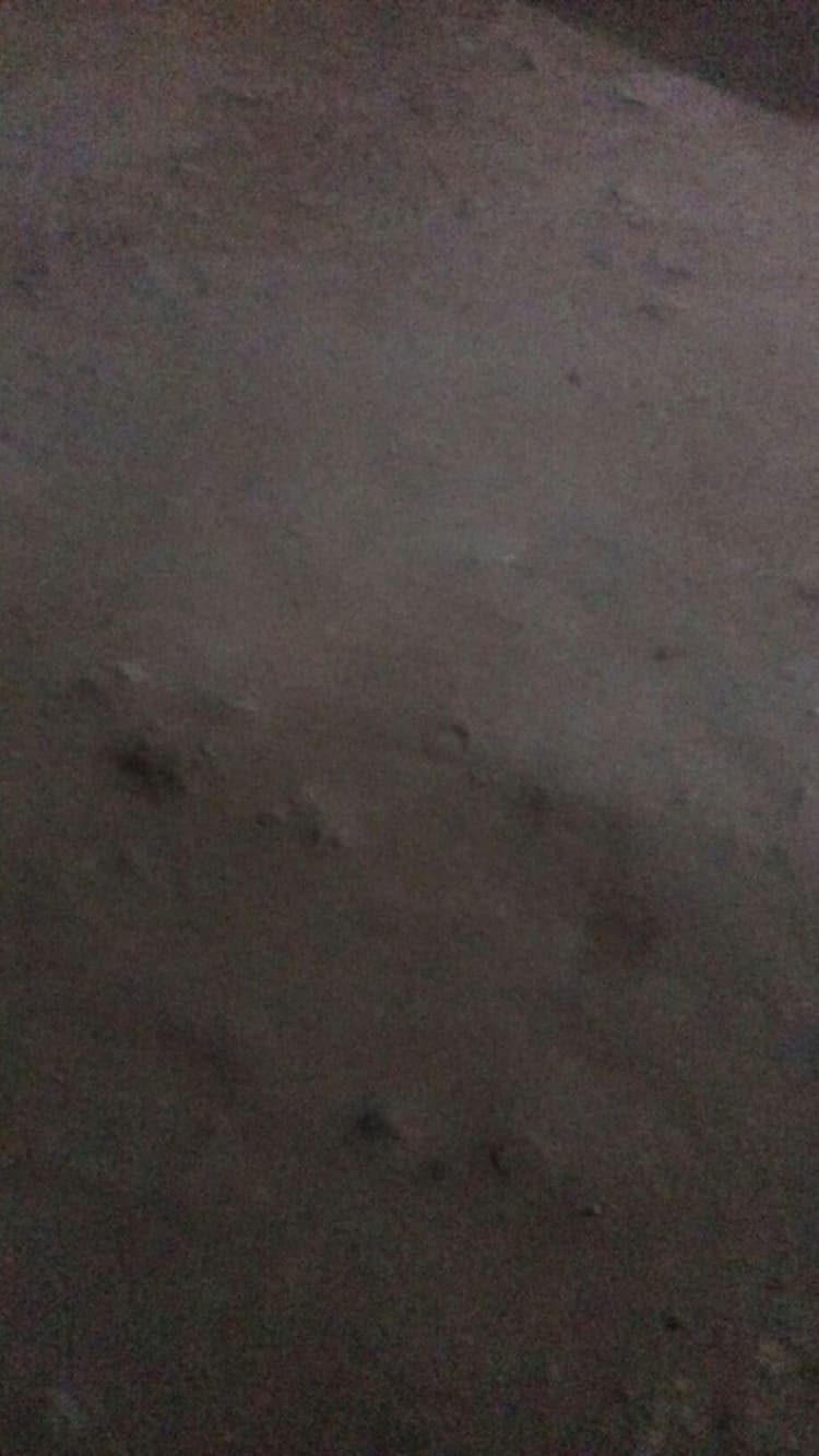 5.5 Cent Land for Sale