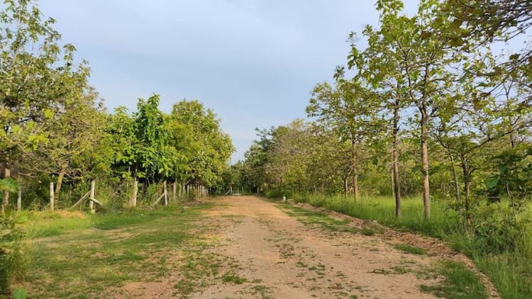 Single Property Image