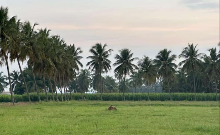 1 Acre Land for Sale