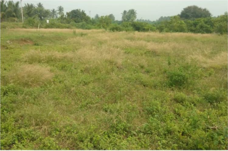 2.50 acres of land for sale 