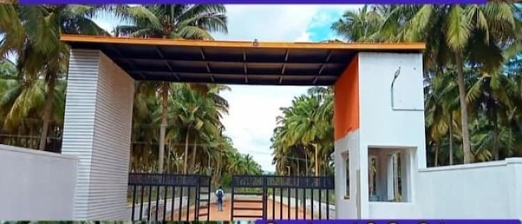  Farm land with coconut trees 