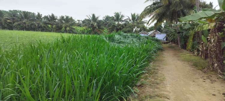 Single Property Image