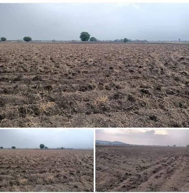 black soil land sale