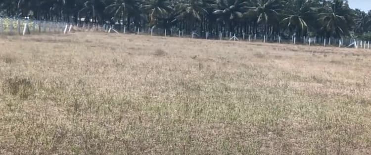 1.90 Acre Land for Sale