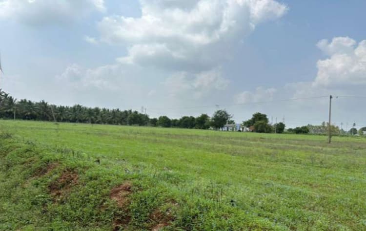 1 Acre Land for Sale near Dharapuram