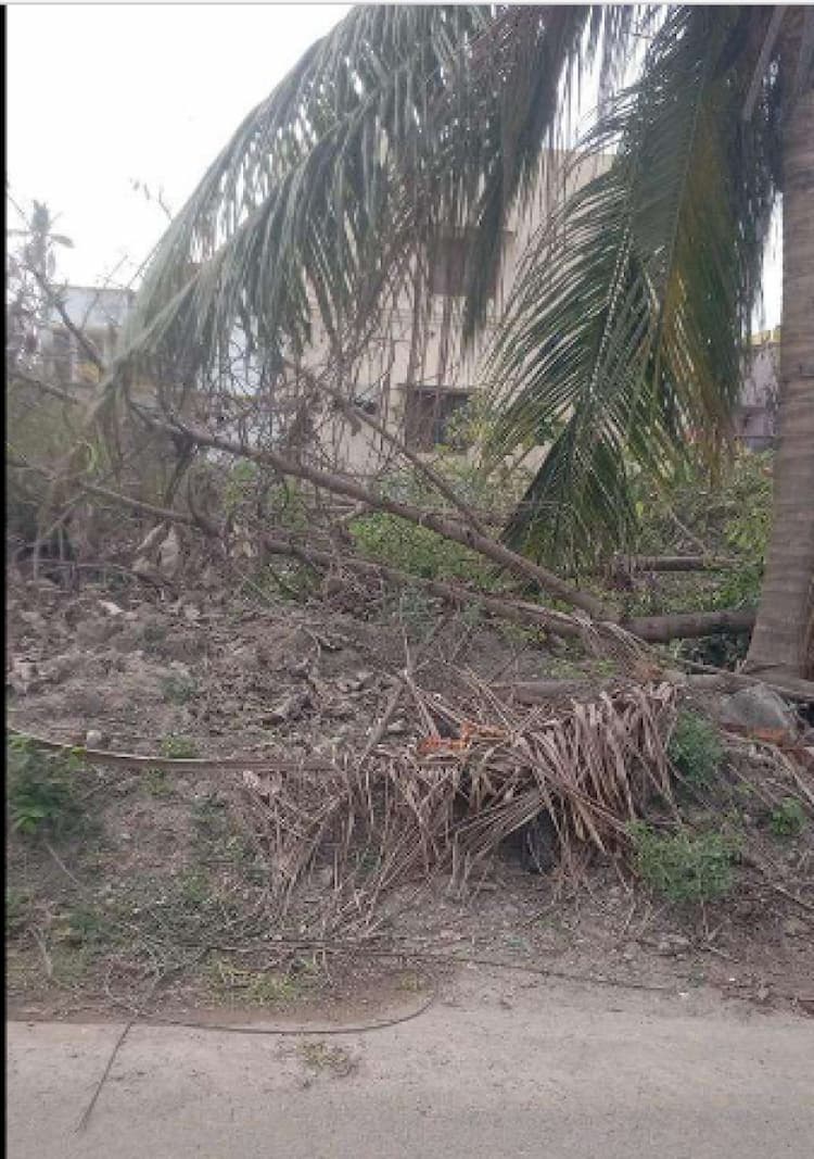 Land for sales