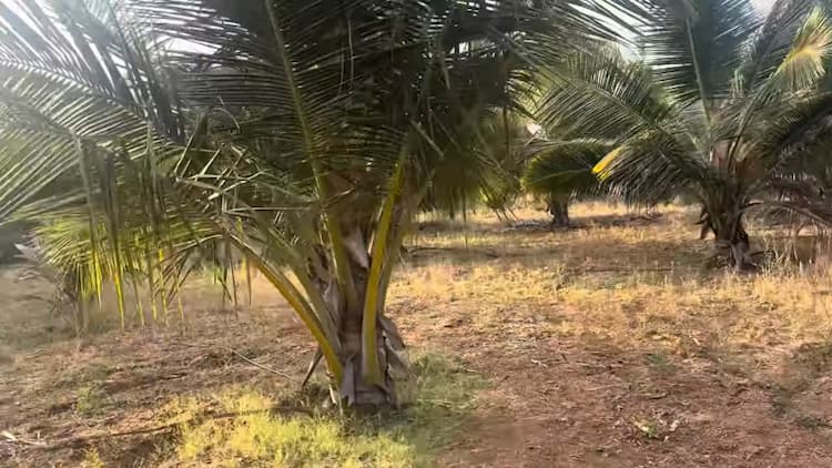 Land for Sale with RC Building