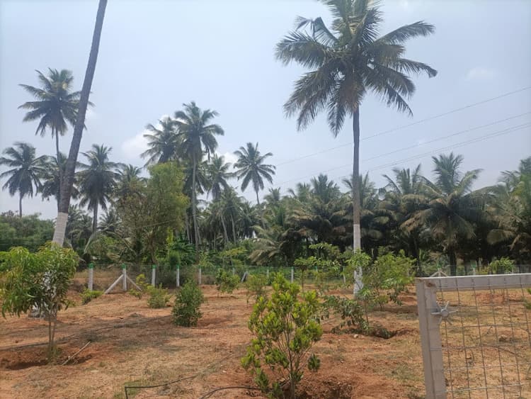 10890 Sq.ft. Agricultural/Farm Land For Sale In Kinathukadavu, Coimbatore