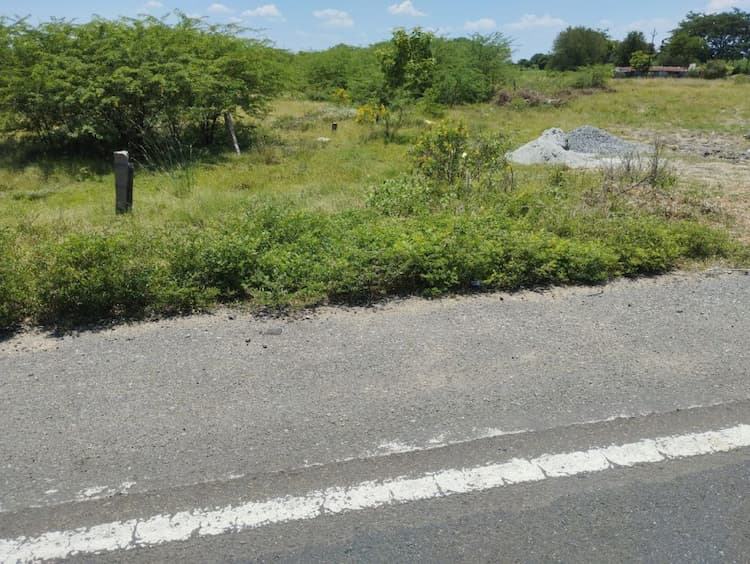 plot sale