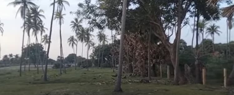 Beach Frontage Property for Sale