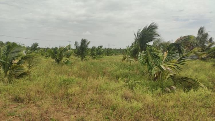 Land for Sale