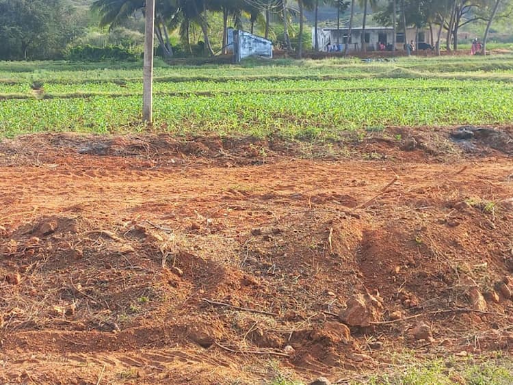 Single Property Image