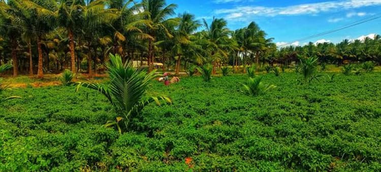 Single Property Image