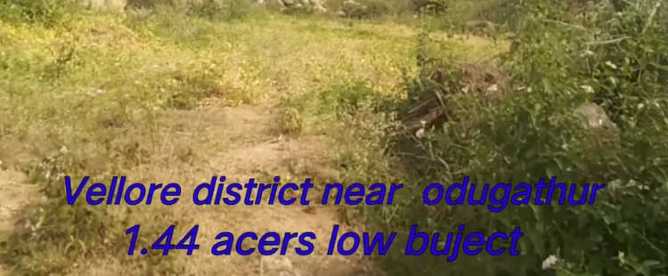 1.44 Acre Land for Sale