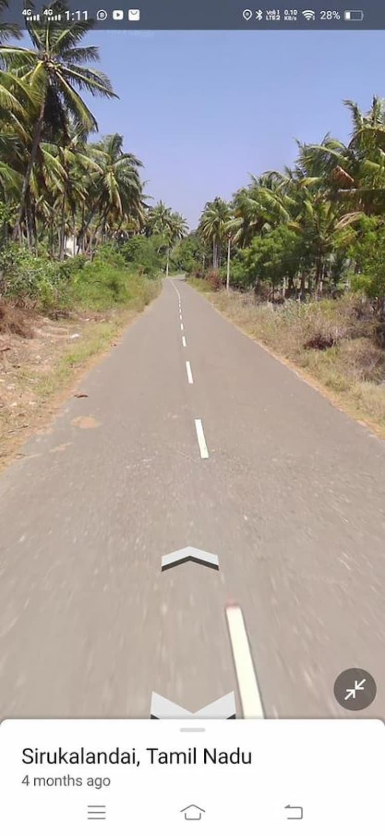 coconut farm land for sale