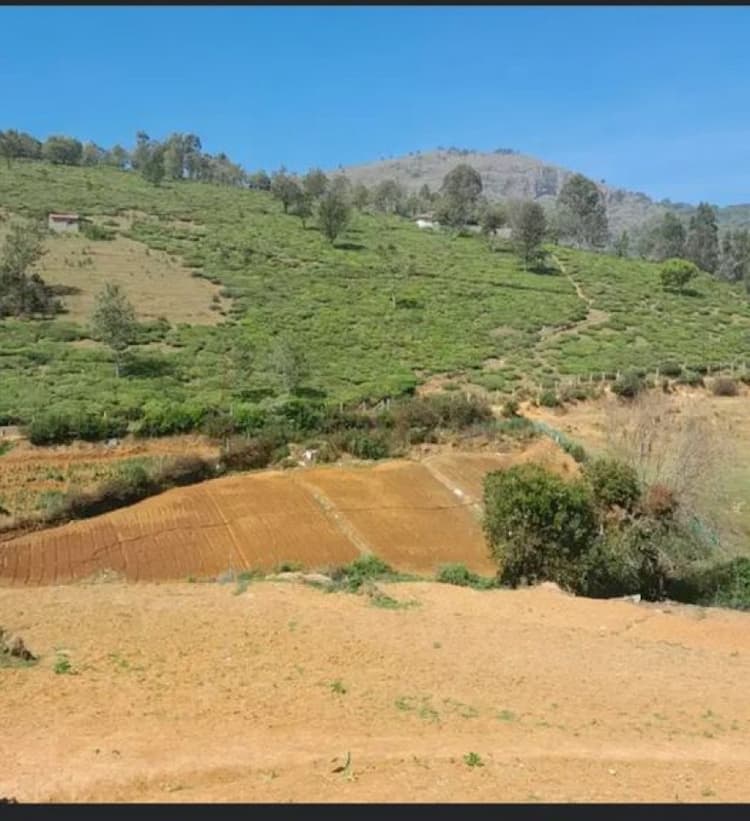 2 Acre 25 Cent Total land Agri land