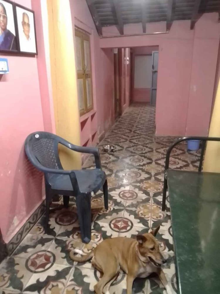 Single Property Image