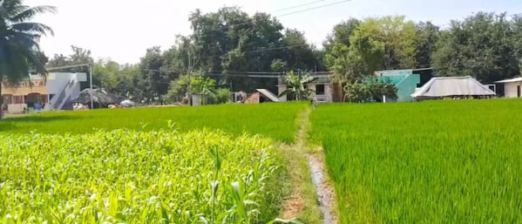 2.45 Acre land for sales