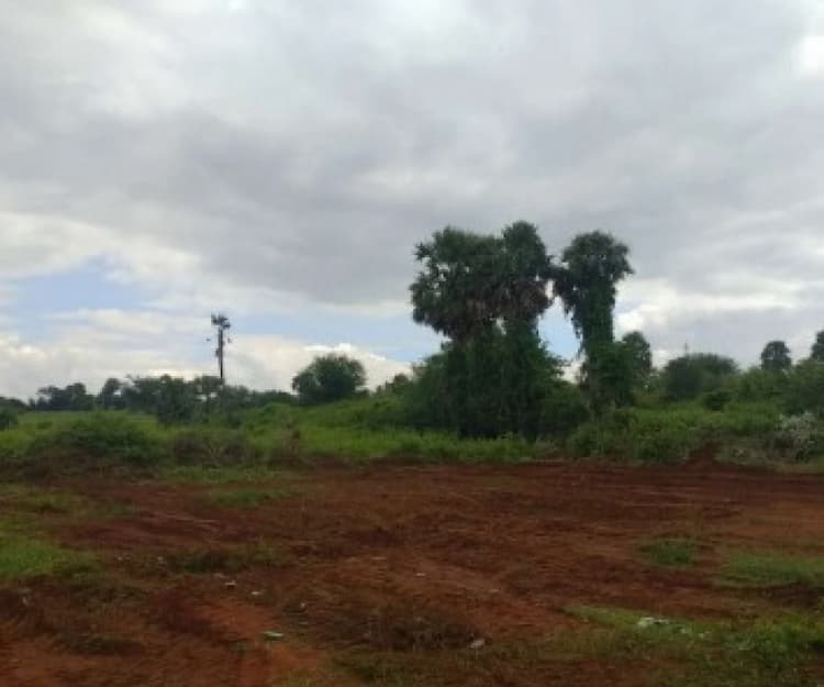 Single Property Image