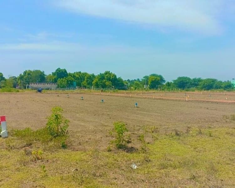 Plot sale