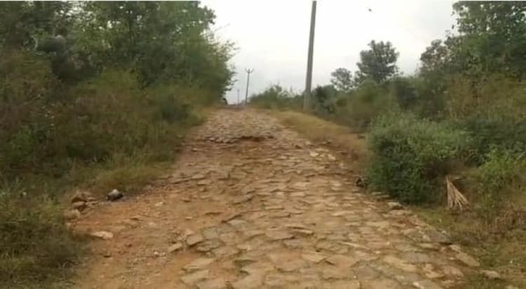 22 ACRES PATTA LAND for sales