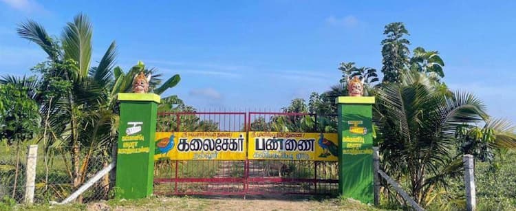 Kalaisekar Pannai For Sales