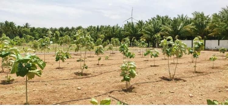 Single Property Image