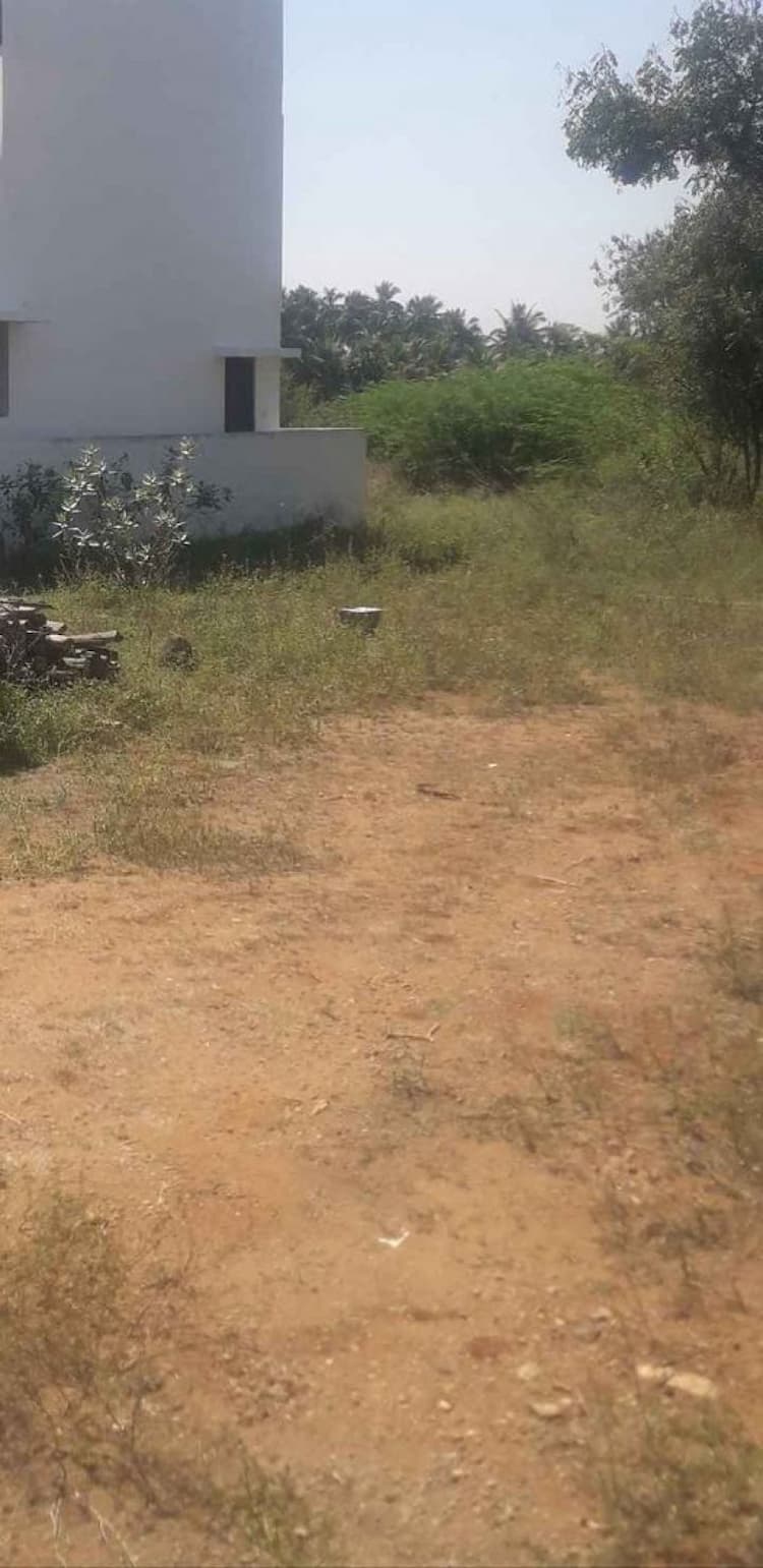 8.50 cent plot for sales