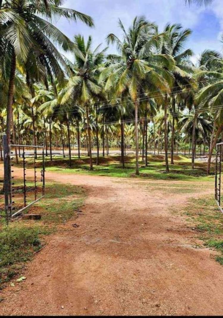 Single Property Image