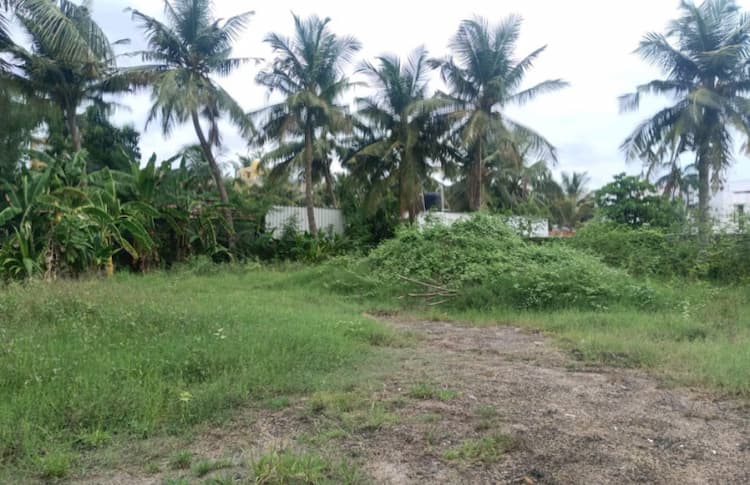 Land for sales