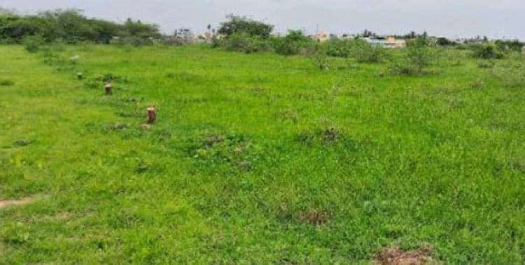 Land for sale