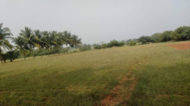 5 Acre Land for Sale