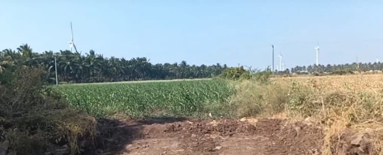 4 Acre Farm Land for Sale