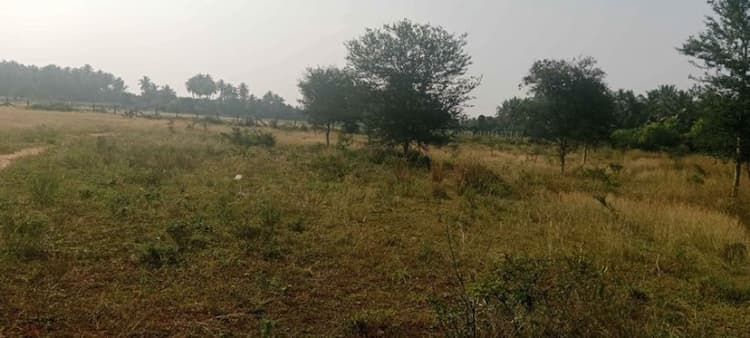 1.90 Acre Land for Sale
