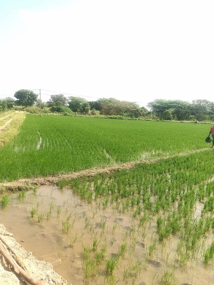 3 Acre Land for Sale near Walajapet