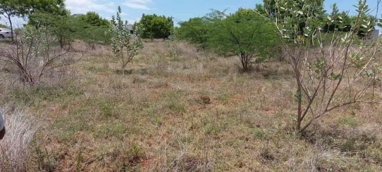 Single Property Image