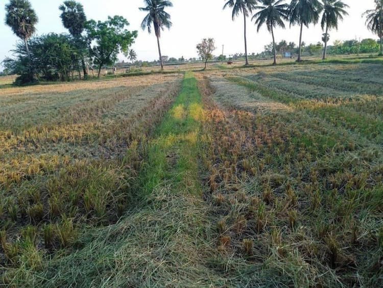 Land sale