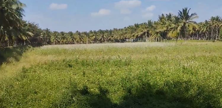 1 Acre Farm Land for Sale