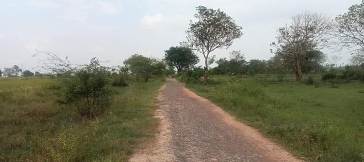 Single Property Image