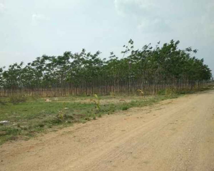 Single Property Image