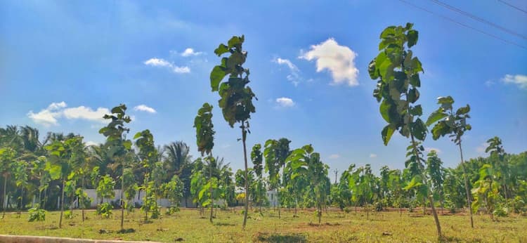 Single Property Image