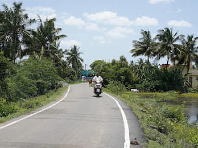 58 cents layout plot for sales